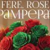 Fere, rose e pampepato: ultimi giorni per l’abbonamento