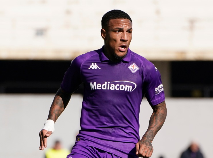 Michael Folorunsho con la maglia della Fiorentina - fonte Lapresse - ternananews.it