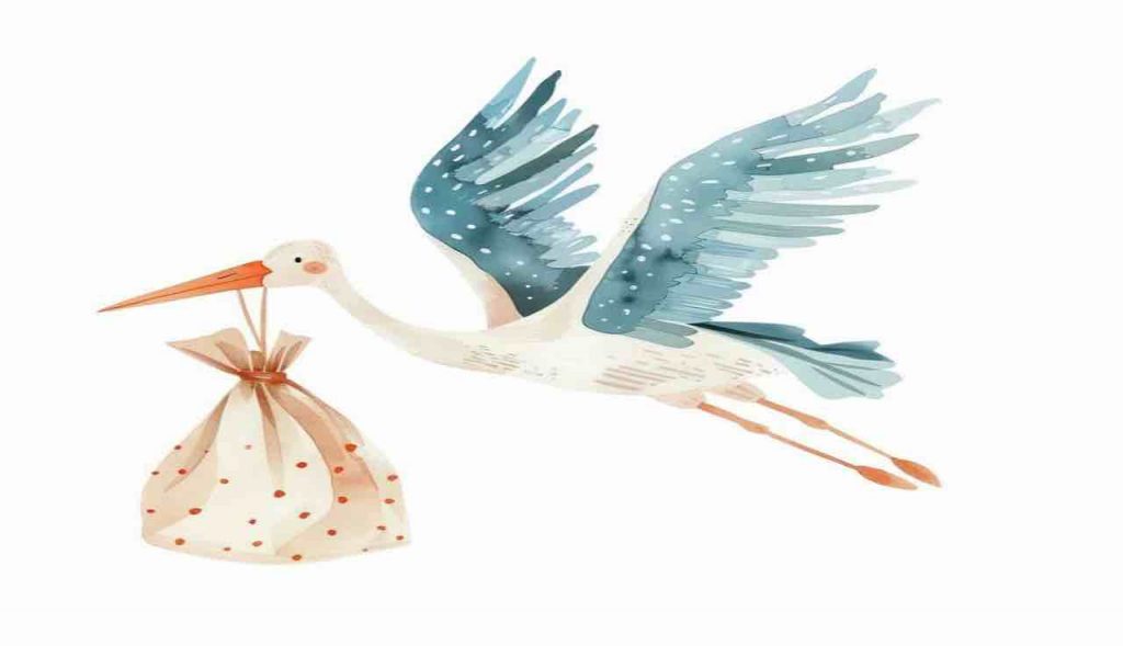 Fiocco azzurro in casa Ternana: è nato il piccolo Andrea