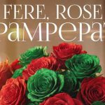 Ternana, al via i mini abbonamenti: sei gare al Liberati e promo San Valentino